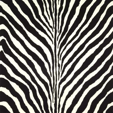 Bartlett Zebra Charcoal seepra raidallinen tapetti Ralph Laurenilta image