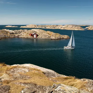 Coast Life saaristomaisema valokuvatapetti Rebel Wallsilta R16501 image